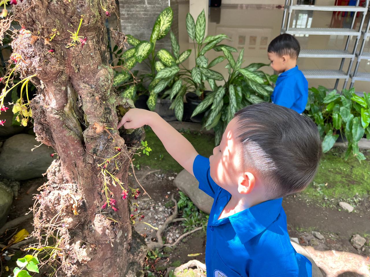 Toddler – Learning Project: My Strong and Helpful Ant (Day 1)