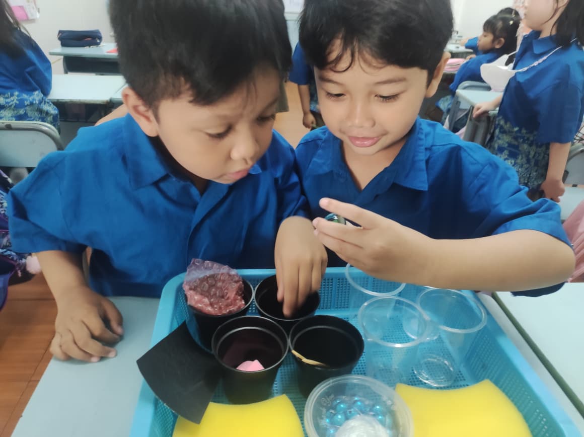 Primary 1 – Science: Discovering Senses