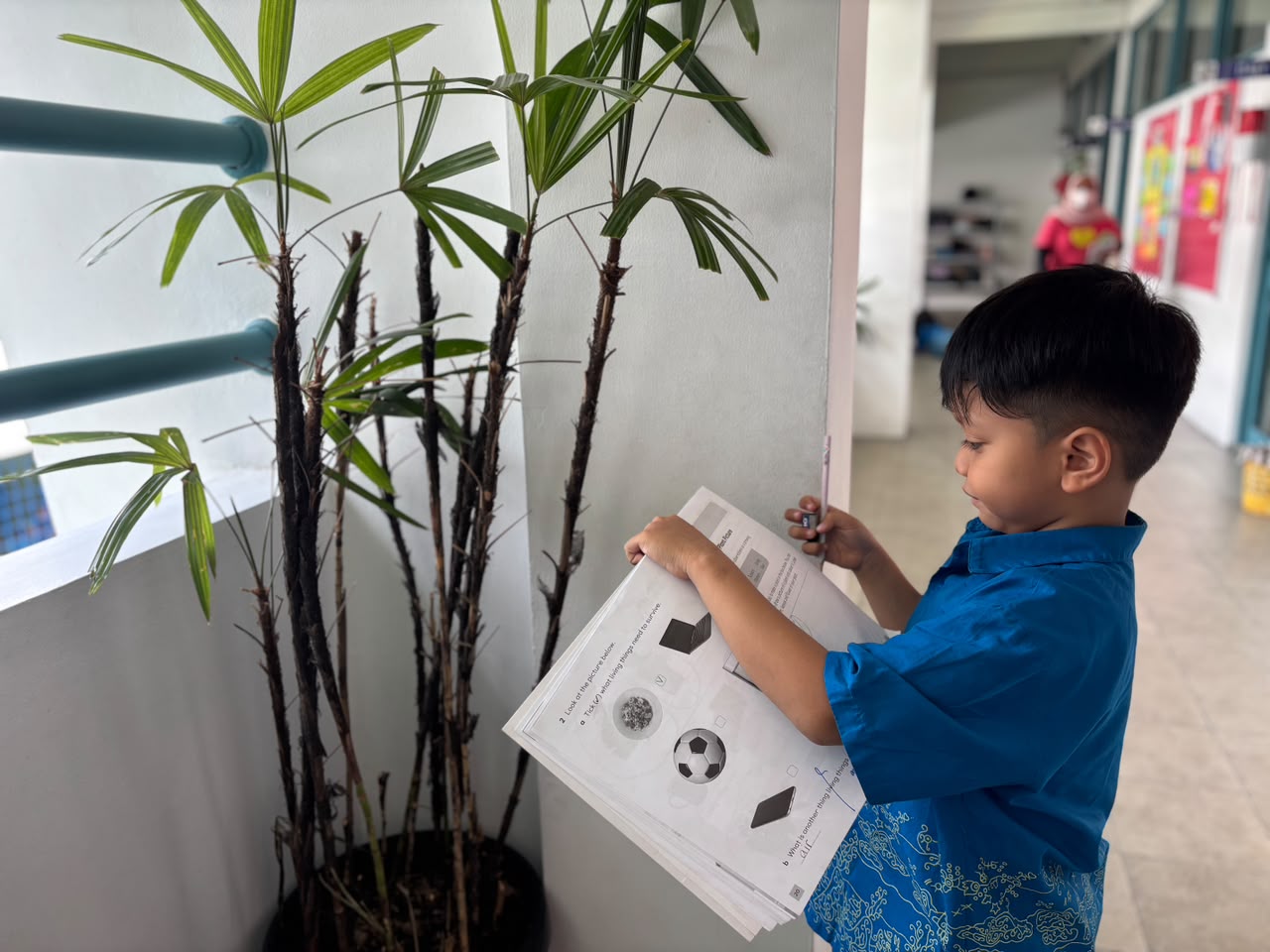 Primary 1 – Science: Exploring Plants Around Us