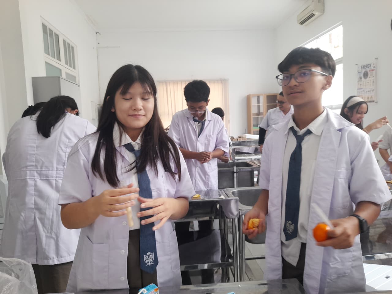 Secondary 2 – Chemistry: Doing Colloidal Experiments