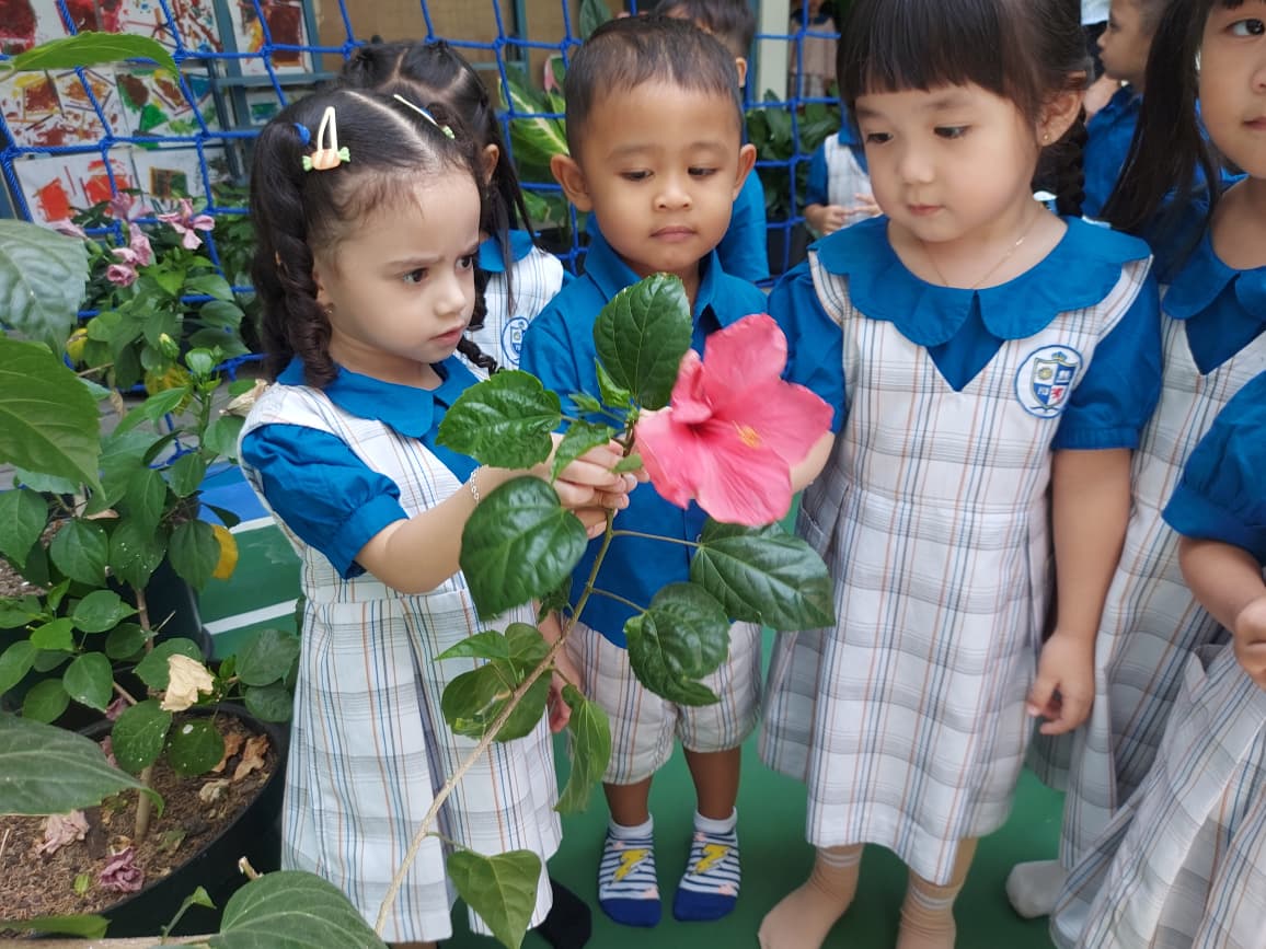 Nursery – Science: Parts of tree