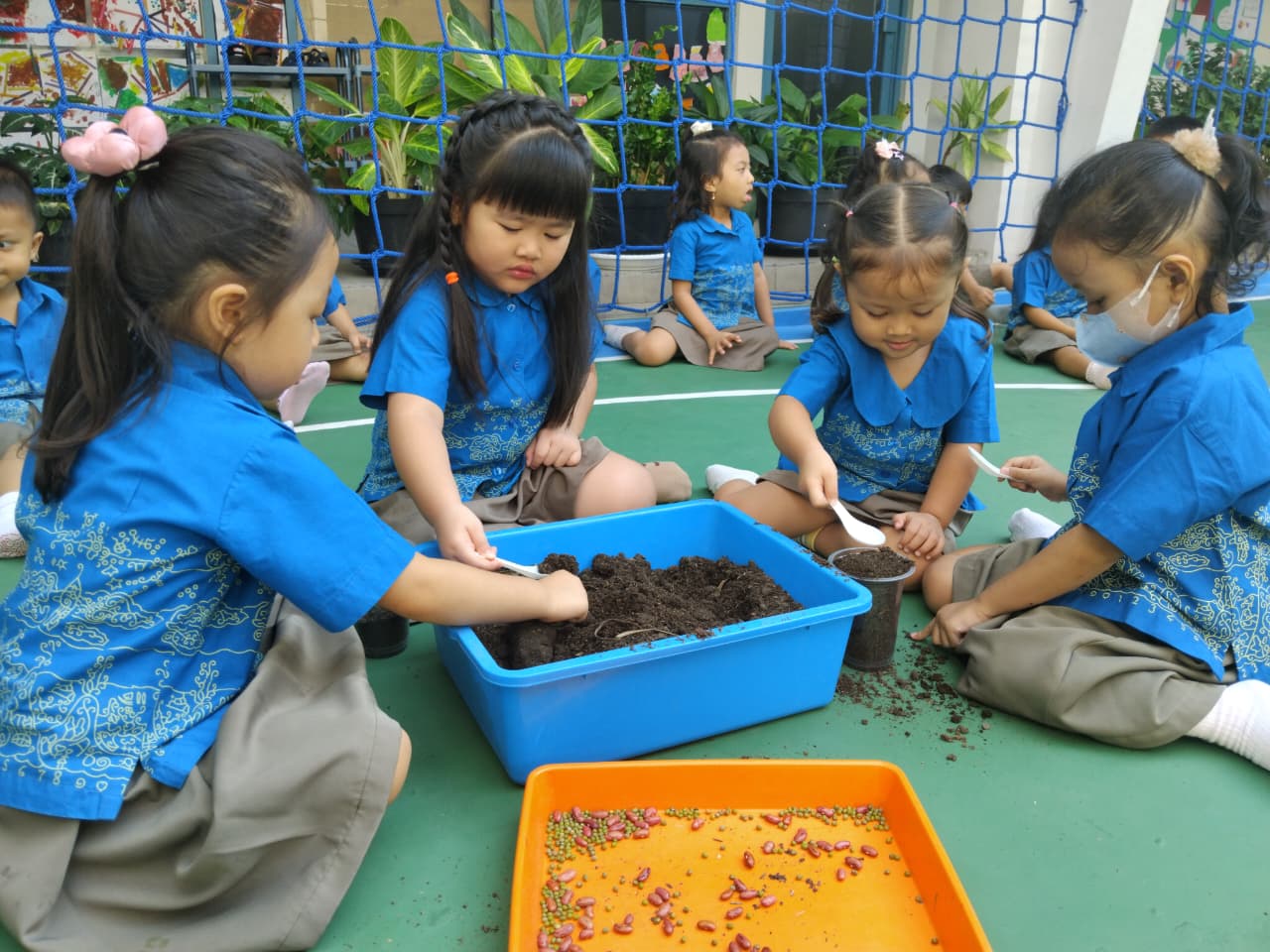 Nursery – English: Let’s Plant the Seeds