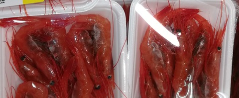 ホッコクアカエビとは 甘エビ 南蛮エビのことです