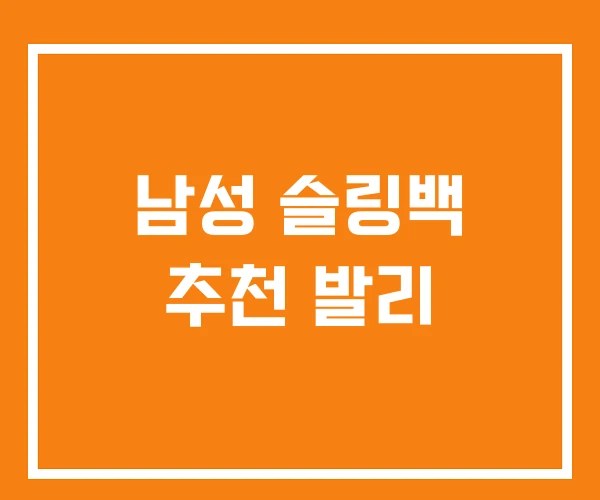남성 슬링백 추천 발리