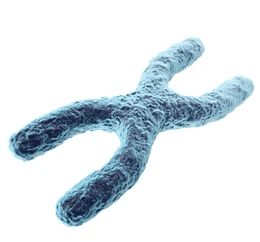 Fiber Fish Creative Bioarray - 4K Space Textures for Desktop