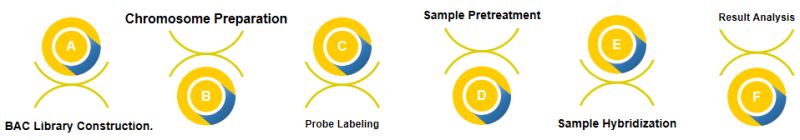 Bac Fish Services Creative Bioarray - Premium Light Illustration Gallery - Retina