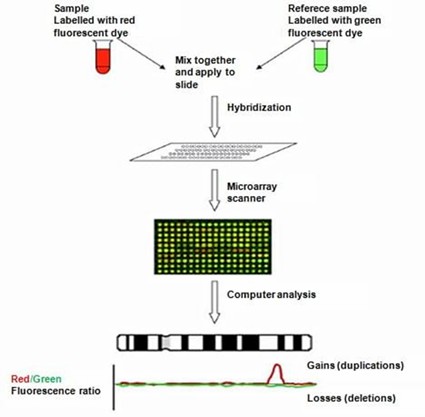 Microarray Based Comparative Genomic Hybridization Acgh X3 Showing - Dark Art Collection - Ultra HD Quality