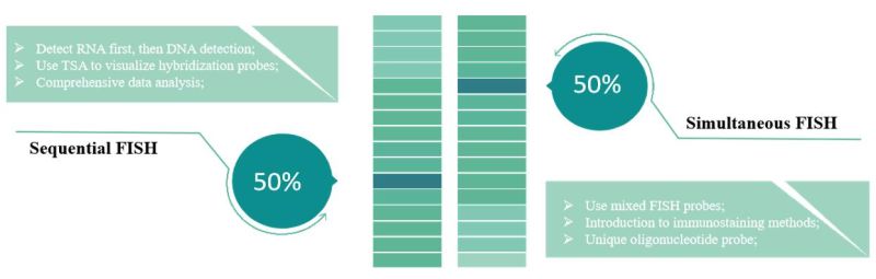 Rna Fish Services Creative Bioarray - Geometric Photos - Stunning Full HD Collection