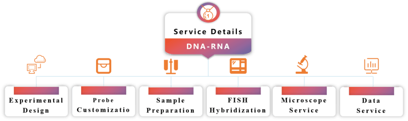 Rna Fish Services Creative Bioarray - Premium Geometric Picture Gallery - 8K