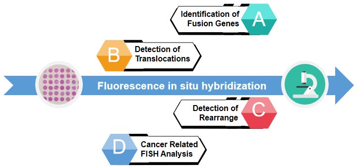 Specialized Fish Services Creative Bioarray - Beautiful 8K Space Illustrations | Free Download