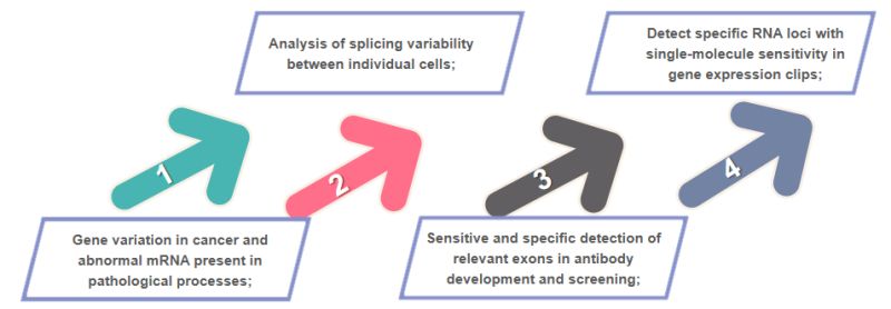 Dna Rna Fish Service Creative Bioarray - Download Elegant Ocean Background | Retina