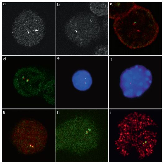 Rna Fish Services Creative Bioarray - Ultra HD Space Arts for Desktop