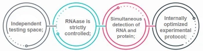Rna Fish Services Creative Bioarray - Premium Gradient Pattern Gallery - 8K