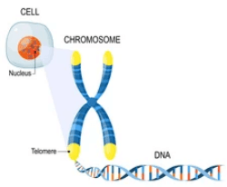 Flow Fish Service Creative Bioarray - Download Creative Abstract Texture | Desktop