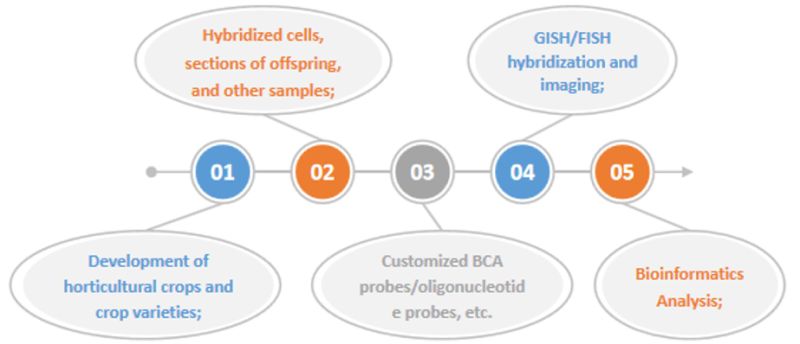 Specialized Fish Services Creative Bioarray - Minimal Images - Classic Retina Collection
