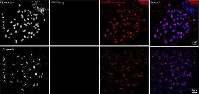 Oligo Fish Service Creative Bioarray - Stunning Full HD Mountain Wallpapers | Free Download