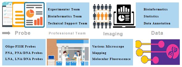 Rna Fish In Plant Creative Bioarray Creative Bioarray - Desktop Gradient Photos for Desktop