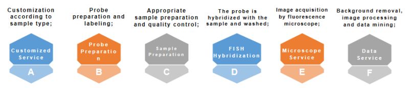Mrna Fish Service Creative Bioarray - Download Elegant Light Illustration | Full HD