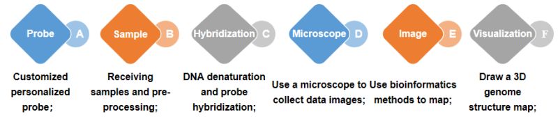 Oligo Fish Service Creative Bioarray - Geometric Texture Collection - HD Quality