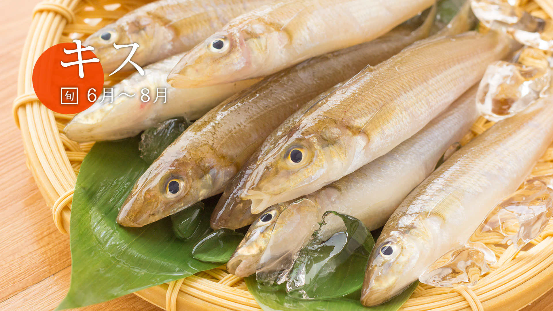 鱚魚 鱚魚 Gkgnae