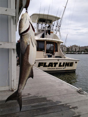 Guided tours and fishing trips along the matanzas river. Virginia Beach Fishing Charters Aquaman Sportfishing