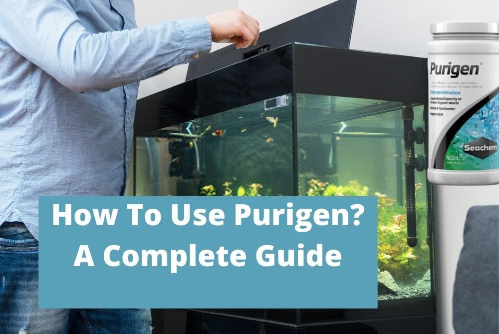 Seachem Purigen For Freshwater Saltwater Fresh Water Filters Aquarium Fish Tank Purigen and Activated Carbon are two of the most used products by hobbyists with this goal.