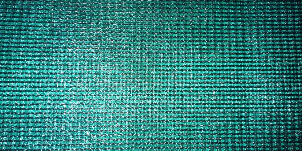 Rectangle 145 (3)