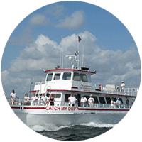 Best fishing charters in fort lauderdale · fish local knowledege · lady helen charters · fanntastic fishing · taco's hooked up sportfishing charters · top shot . Fort Lauderdale Fishing Charters