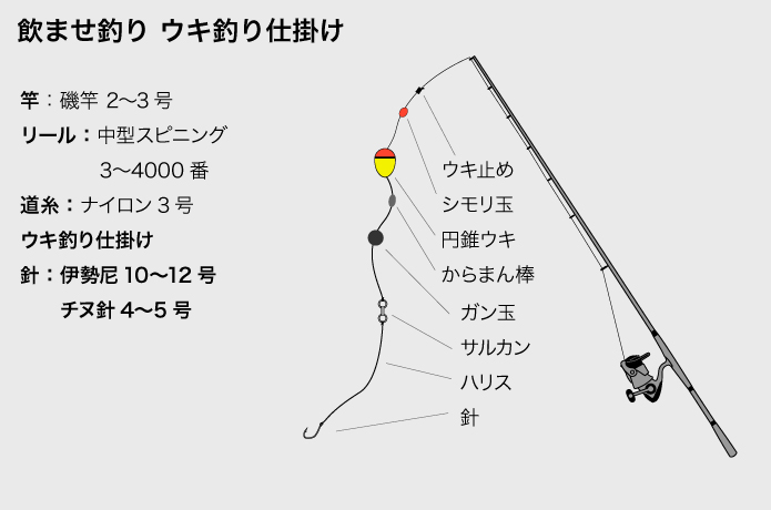 泳がせ釣り（のませ釣り）とは？｜やり方や仕掛けを徹底解説！