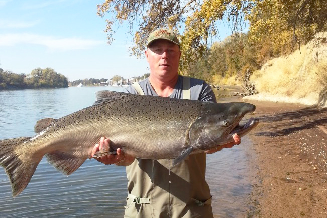 a man holding a king salmon on the sacramento river
