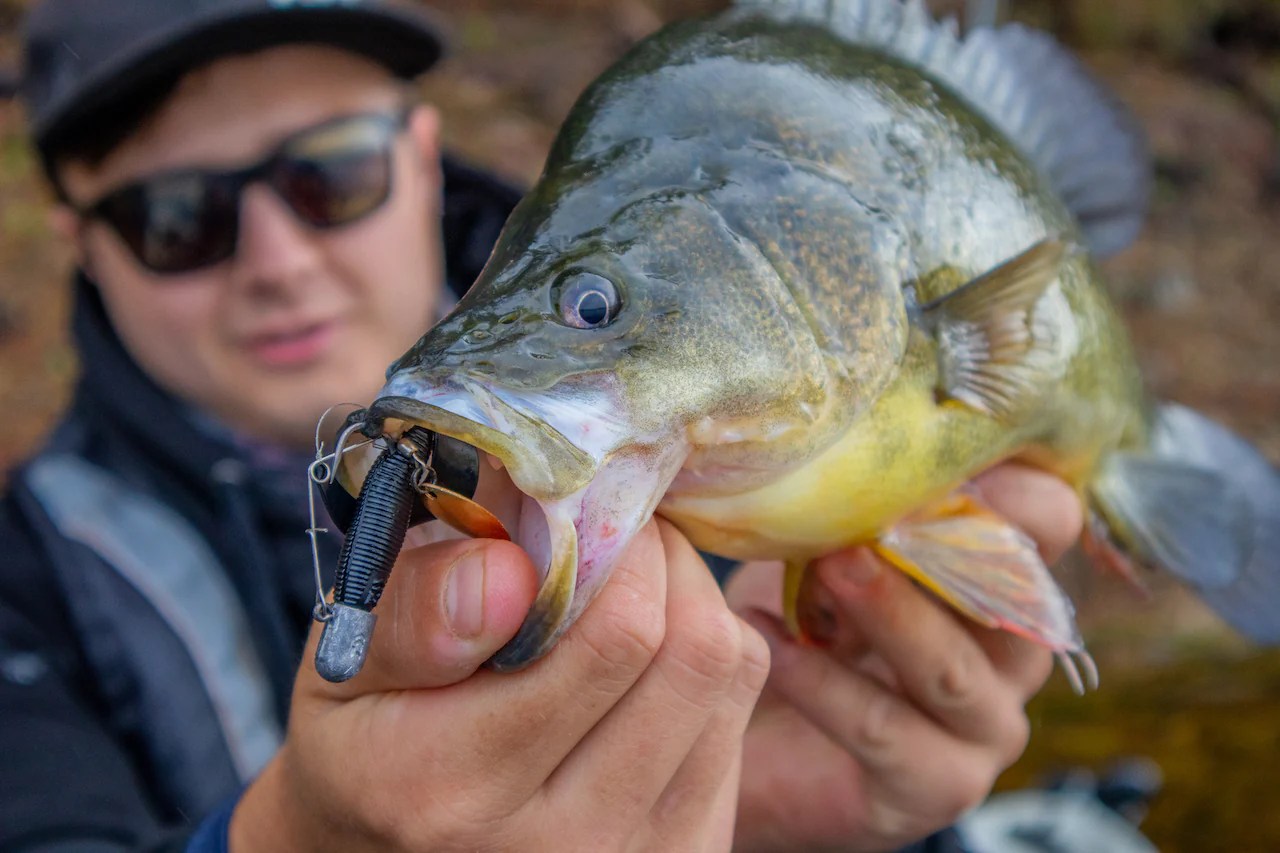 easy fishing lures to make Spinner Baits Lures Making Kit Inline Spinner Parts Assortment Shaft Clevis Spinner Blade DIY Fishing Spinner Making Supplies Tackle Kit : Sports & Outdoors How to Make Homemade Fishing