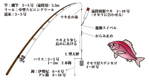 マダイのカゴ釣り仕掛