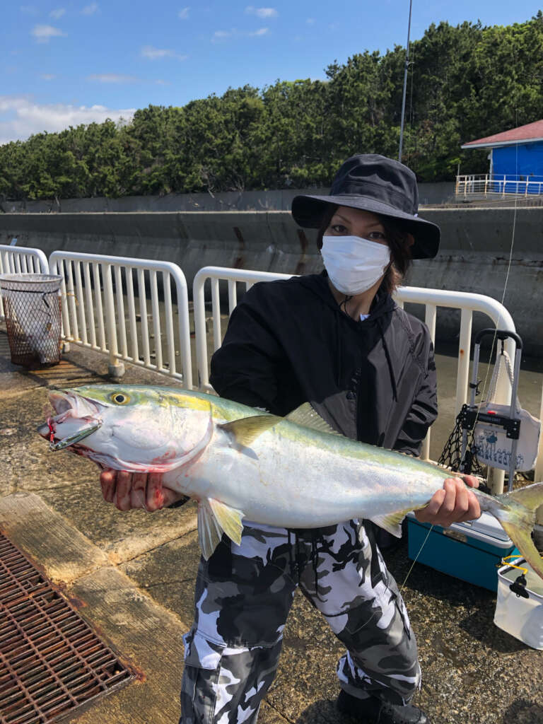 南港釣り公園最新釣果！！青物がアツイ！