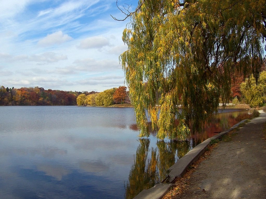 A view of Grenadier Pond in Fall with colorful leaves in Toronto, Ontario, Canada.