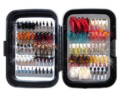 A collection of flies in a container.