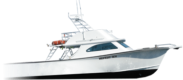 We’ve rounded up some additional advice as you research your upcoming boat purchase. Midnight Sun Fishing Charters Fish The Chesapeake Bay With Midnight Sun Charters