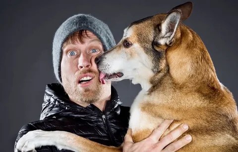 Dog licking his guardian face with happiness