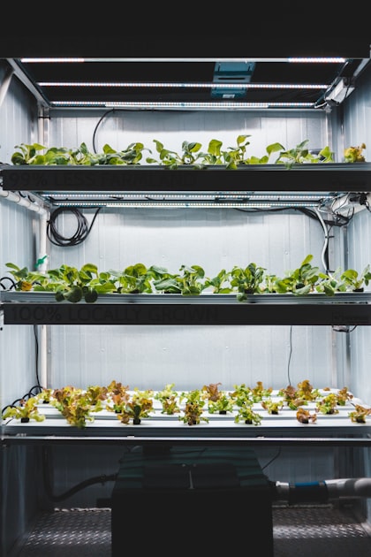Value Addition in Agriculture