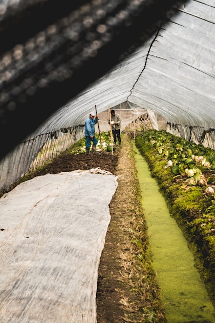 Innovative Farming Technologies