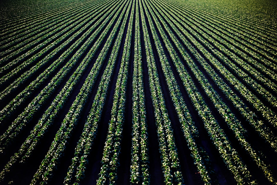 Empowering Farmers for the Future