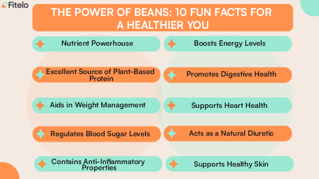 The Power Of Beans: 10 Fun Facts For A Healthier You