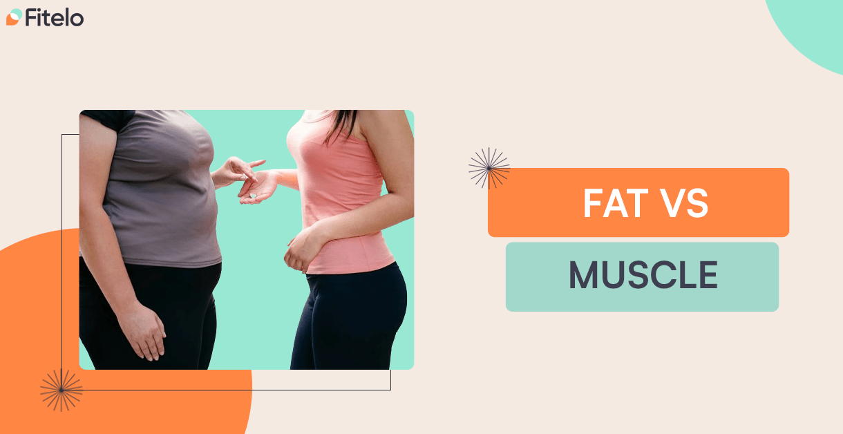 Fat Vs Muscle