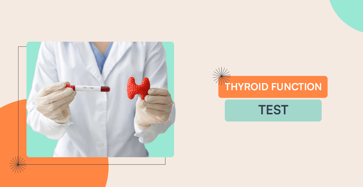 Thyroid Function Test