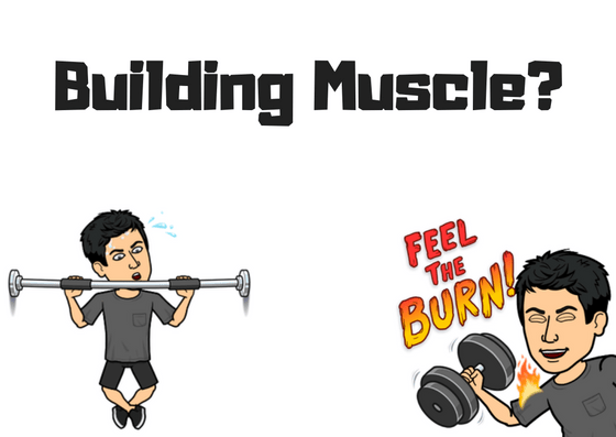 Muscle Building Guide