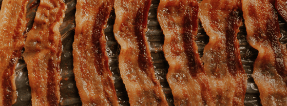 saturated fat featured image