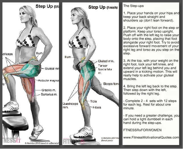 13+ Clever Bench Step Ups - Step-up Exercise : At entrepreneurs' organization (eo), we support the positive trend of empowering women in entrepreneurship.