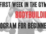 Bodybuilding Program For Beginners First Week In The Gym