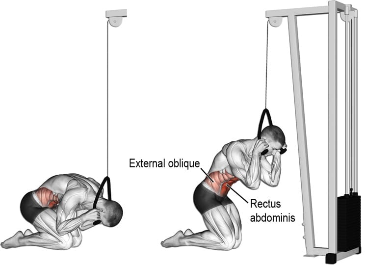How To Do Cable Crunches The Right Way jpg (744x540)