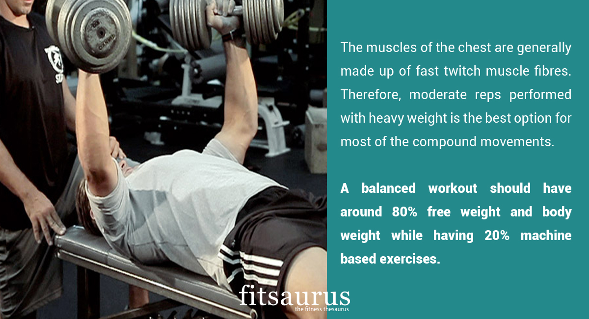 5 Best Exercises for Chest fitsaurus
