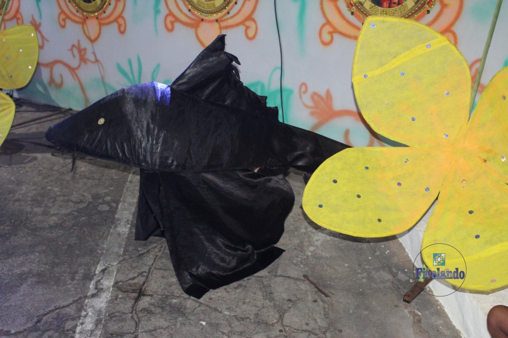 FormatFactoryFormatFactoryIMG_1837